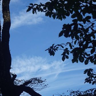 気持ちいい青空✨