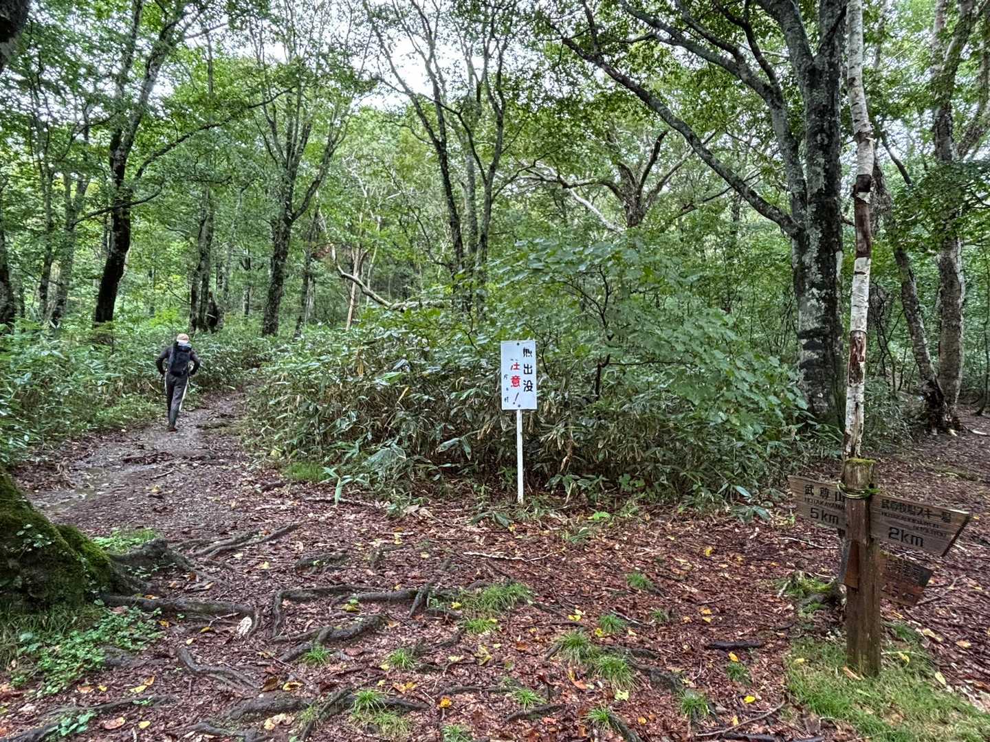 熊出没注意⚠️の看板🪧です。熊さんの生息地に入らせていただいている登山者。とにかく会わないことを祈るばかりです。