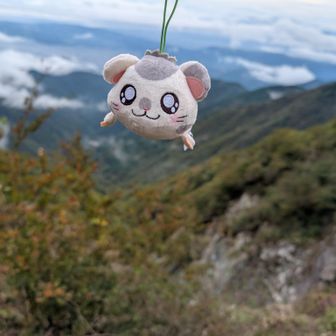ちいさいやまこ