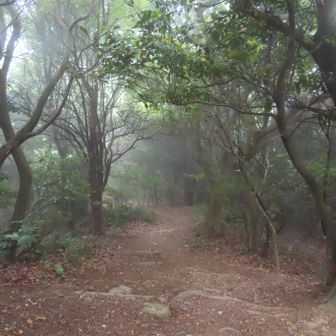 雨の中433m稜線目指して