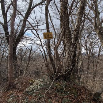 後冠山
広島・山口・島根の三県境だそうです。