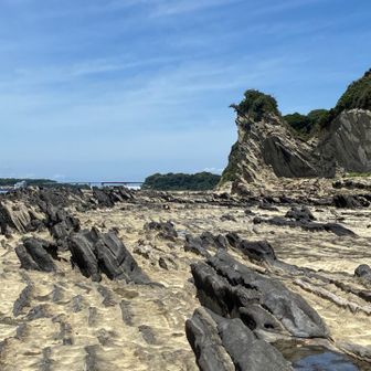 広い
入江になってるとこあるのでまっすぐ歩けんのよ。
檜洞丸の箒沢公園橋手前の広い沢を連想しました。ここの方がわかりやすかった。