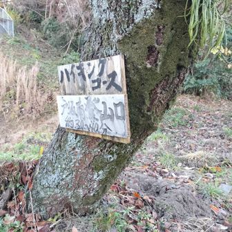 戸坂南口から牛田山へ