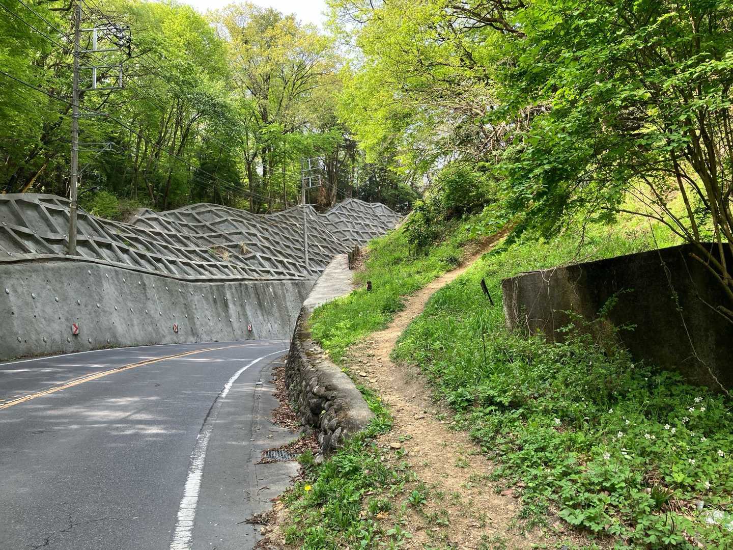 YAMAPのコースとは違いますが、ここから尾根道に取りつきます。