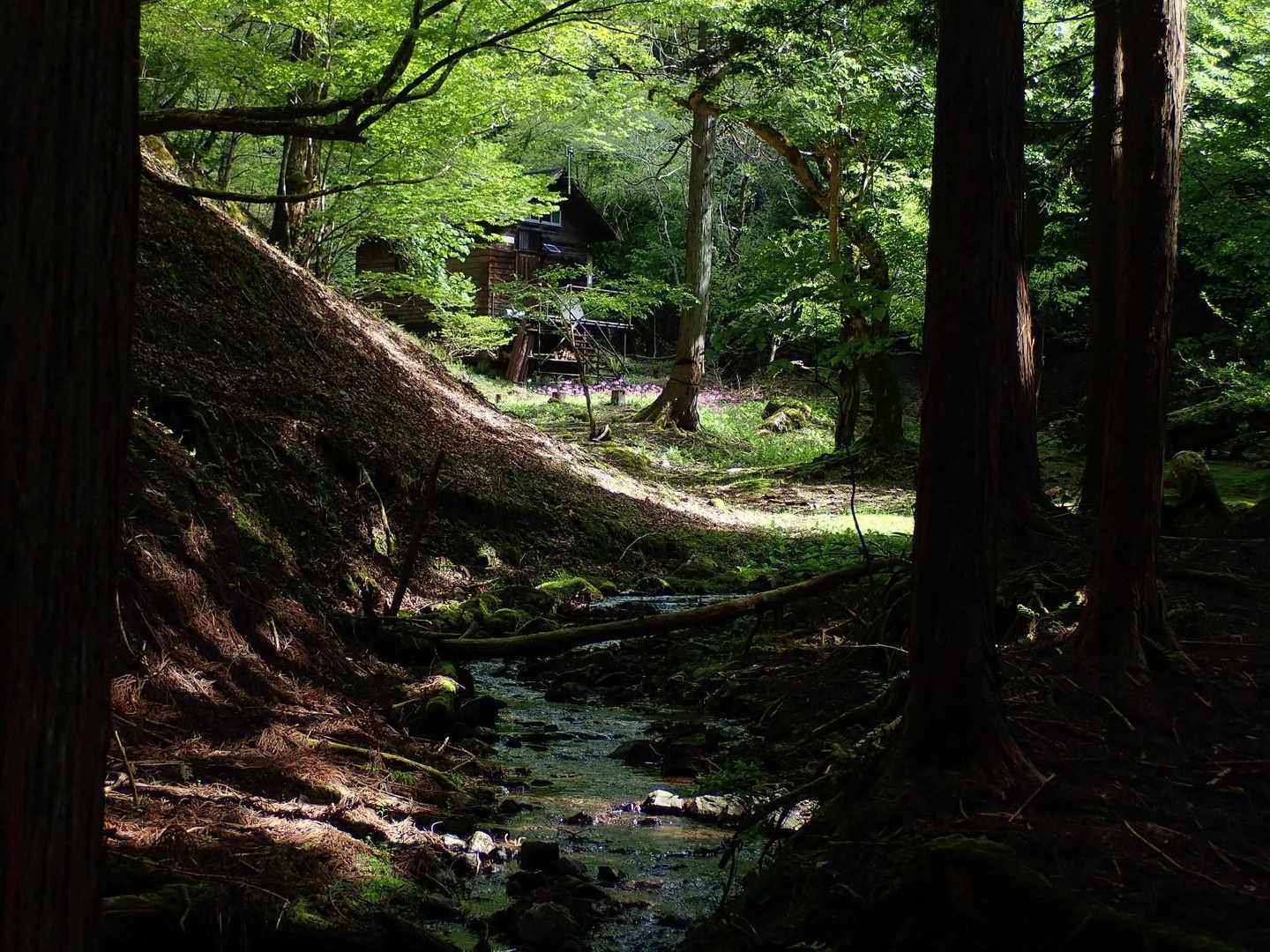 渓流越しに小屋が見えてきました👀