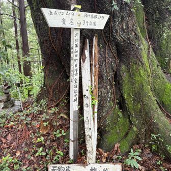 愛宕山登頂〜
この辺は愛宕山っていう山が多い気がします。
左から来ましたが、右側にもルートがあり、次回はそっちから来てみたい