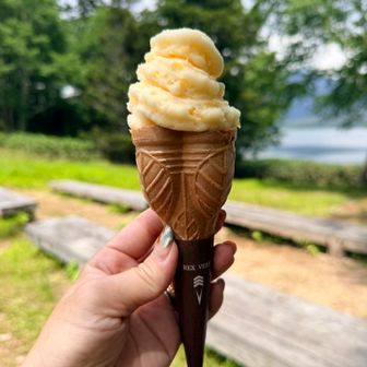 尾瀬沼山荘

あつーいところに
甘夏のジェラート美味い！