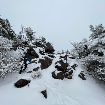 展望岩らしい。ガスって展望なさそうなので見るだけ