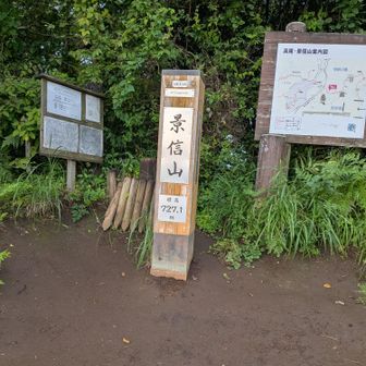 このすぐ前のベンチで休んでる時に手袋落とした可能性大！！！