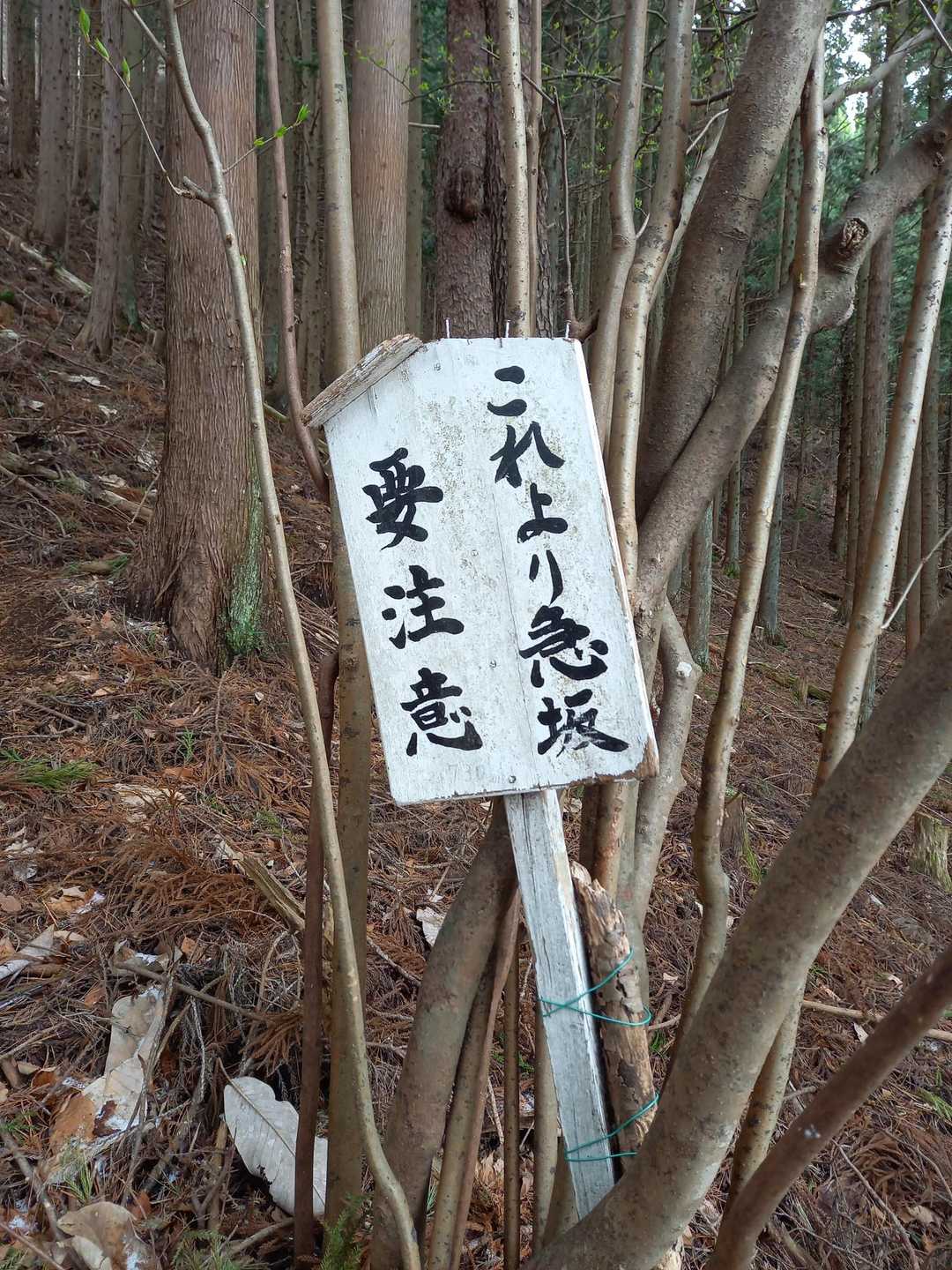 了解です🙆‍♀️