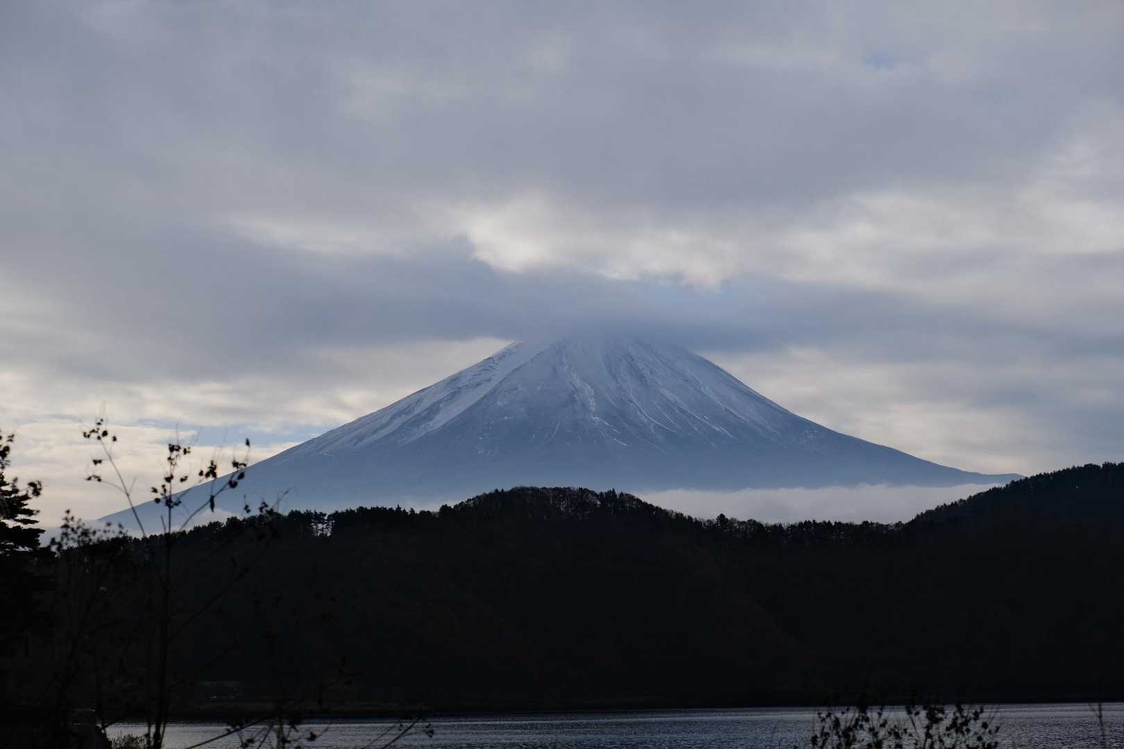 黒岳 往復コースの写真