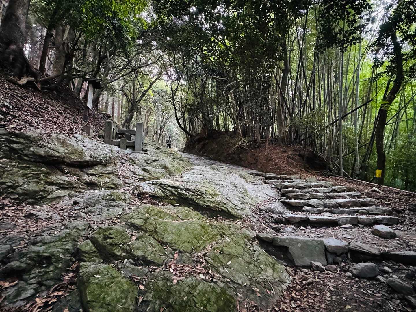 高良山往復 | 季節の草花が彩る高良大社参拝コースの写真