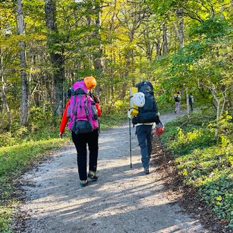 📱ようやく登山道にも日差し☀️