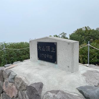 とことこ