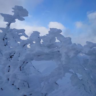 エビなんだかかき揚げなんだか