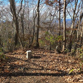 荷鞍山山頂、山頂標識、眺望無し