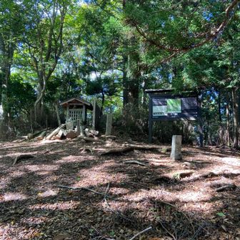 山頂の様子