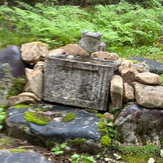無事かえる！

３日間ありがとうございました😊
今回、祖母岳と水晶岳スルーしたし、ほぼ景色見てないし…季節変えて、再訪案件！
ルート考えるのも楽しみな山域だな✨
また来るで‼️