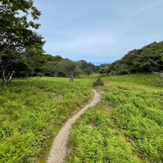 鈴北岳への道　気持ちいい