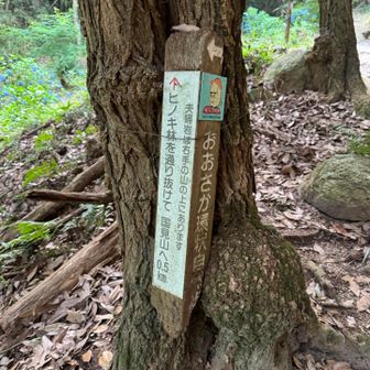夫婦岩わからなかった、、