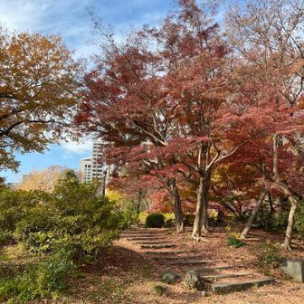 つつじ山⛰️
昼休みなのでベンチではご飯食べてるサラリーマンがいました👍