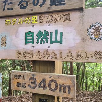 自然山
毎度言うけど、愛あるツッコミ含みで楽しもう鳥川アルプス。