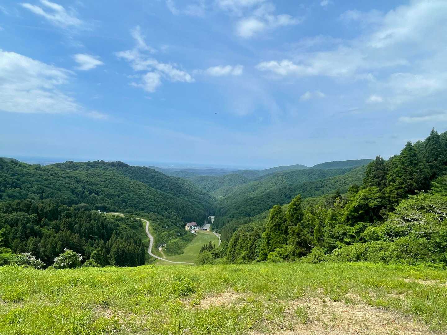 大倉岳-ほとけ峠 往復コースの写真