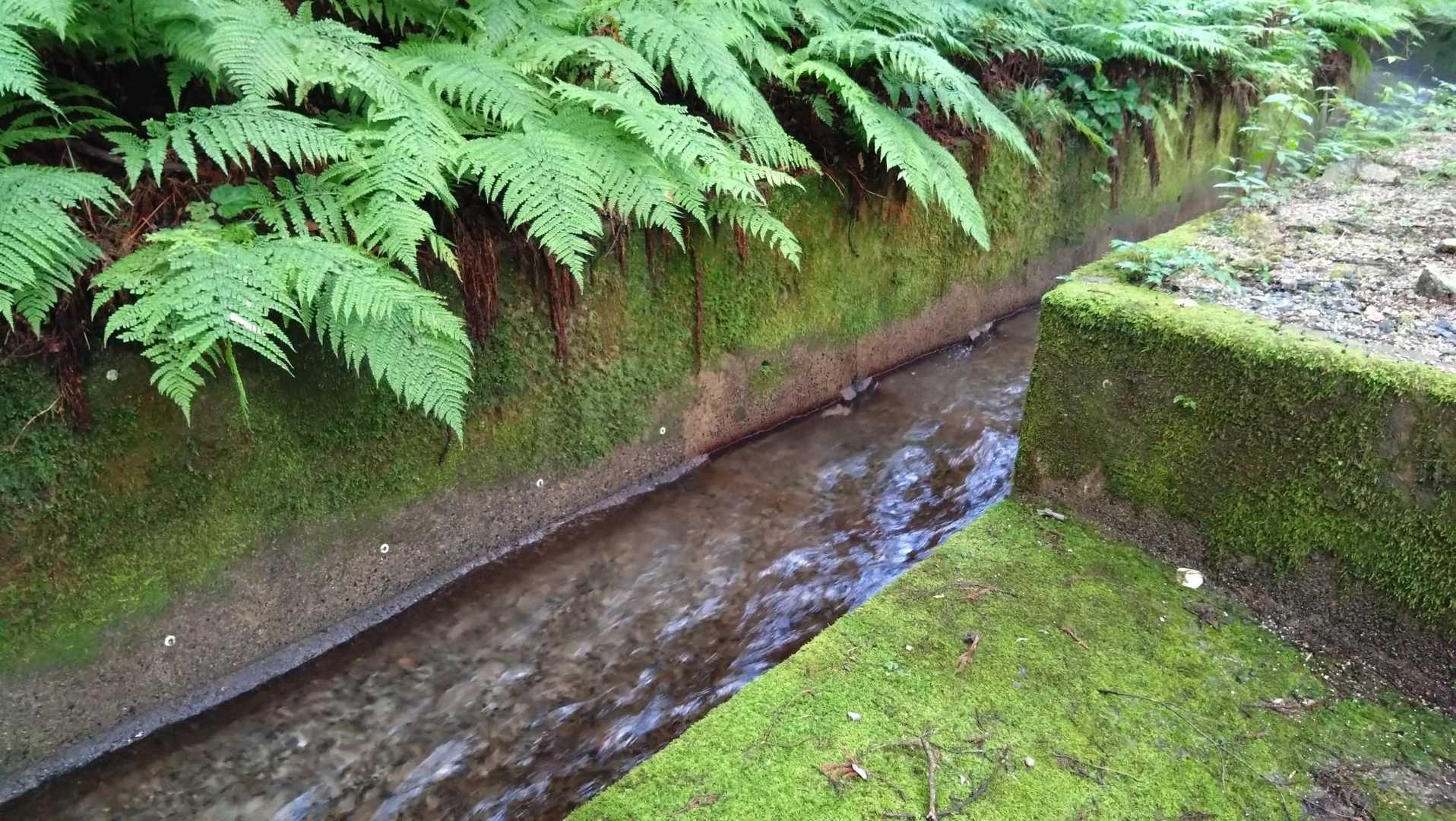 ここも水道に下りれる