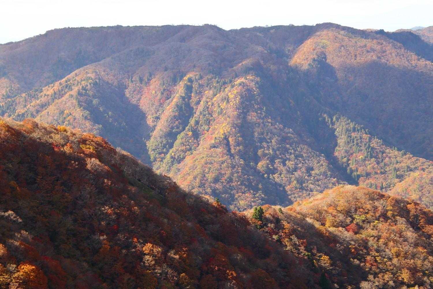 距離と標高差の割に疲れた(;´ρ`)