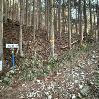 遠足尾根から