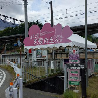 横瀬駅からの案内は非常にしっかりしていた。