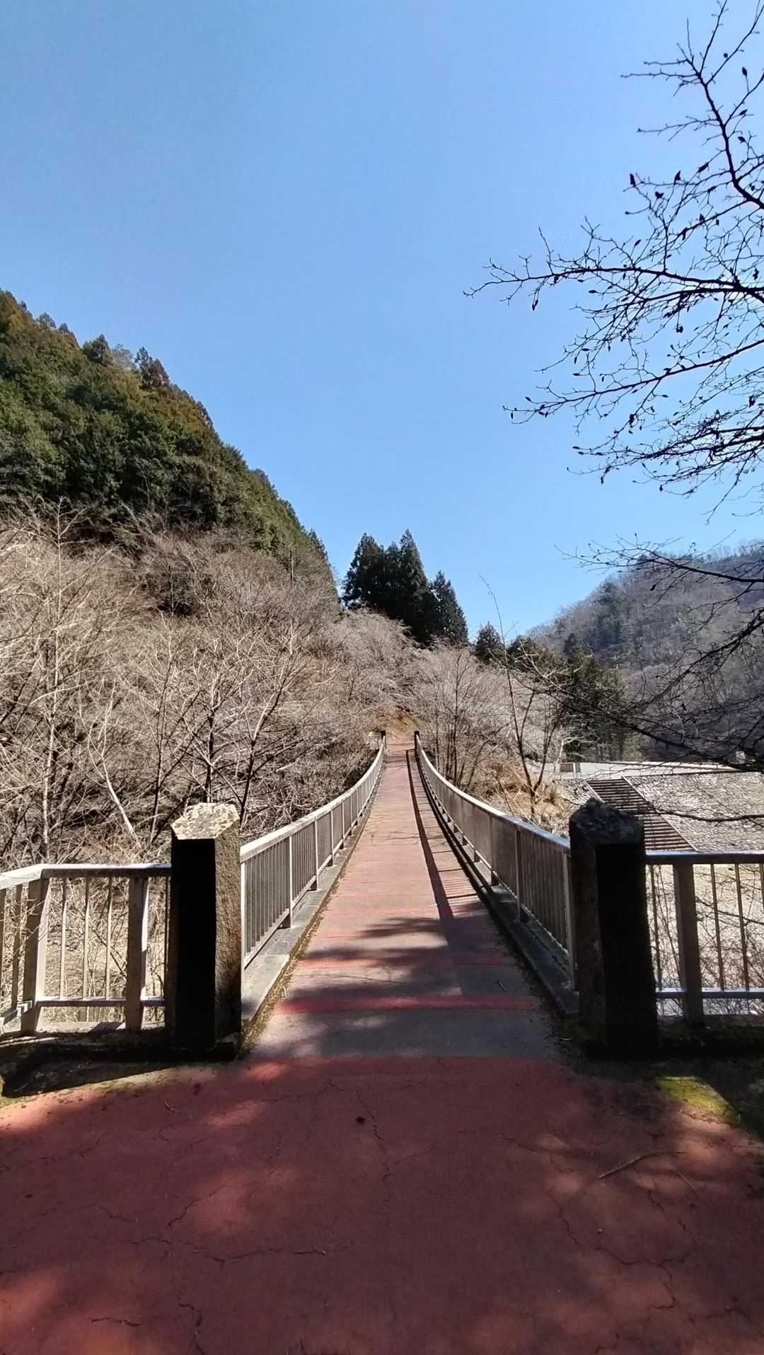 松茸山 周回コースの写真