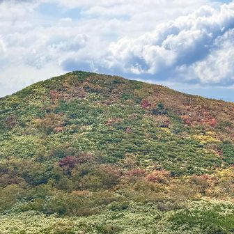 ニト南峰
色付いてます