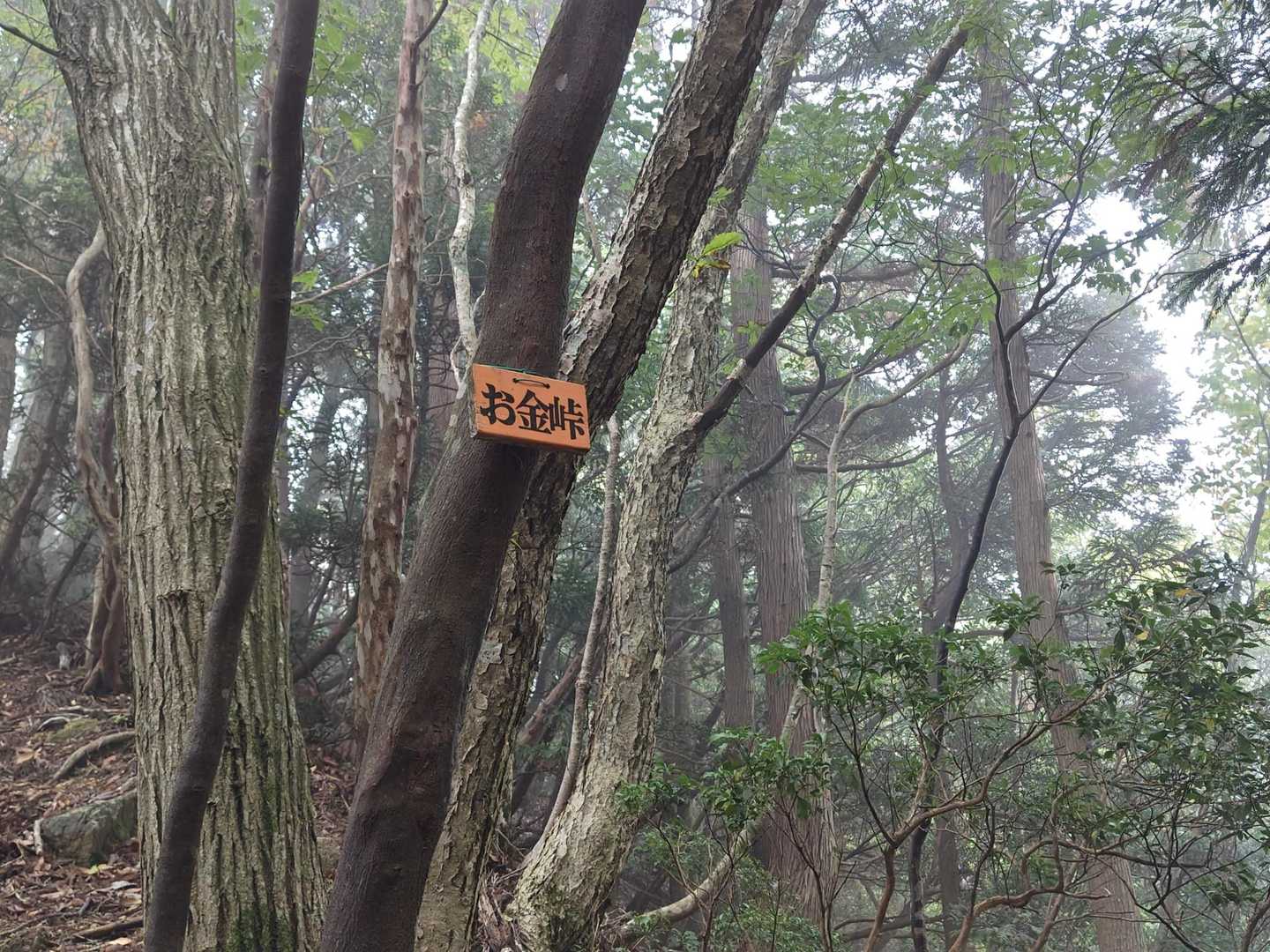 お金峠✨