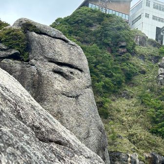 顔