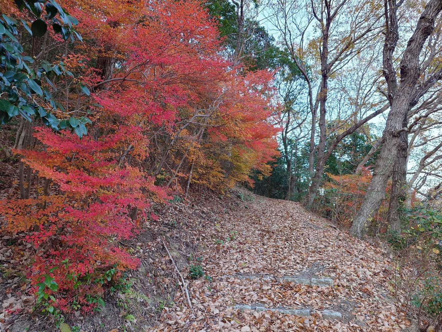 🍁無事、下山。