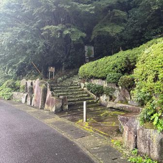 まずは荒井城址公園へー。
階段の石が濡れて滑る……。