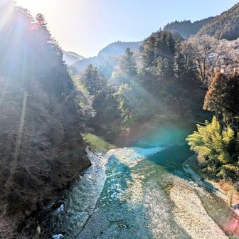 霞んだ空気にやさしい太陽の光　川の水音が気持ちいいです