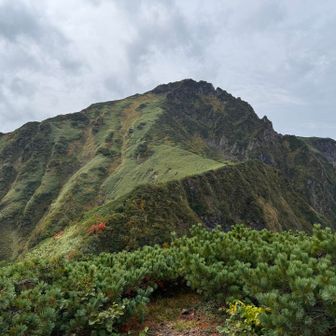 アレ登り切れば山頂だ！