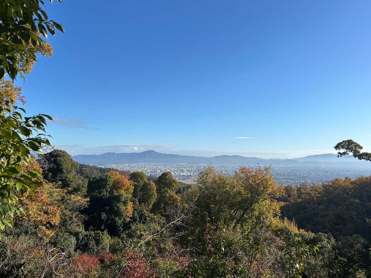 馬堀駅-みすぎ山-唐櫃越-沓掛山-沓掛山登山口-上桂駅 縦走コースの写真