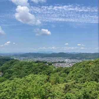 塔からの眺め✨