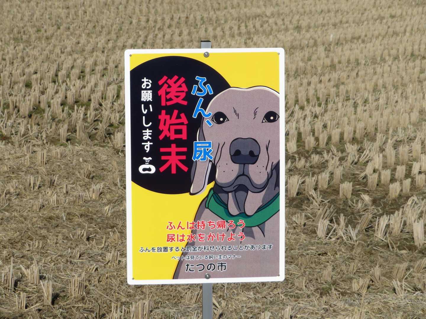 馬立登山ルートへの 
入り口付近で看板
人も 野グソは持ち帰りと 
暗に言っているのか・・・
（考えすぎ）
でも 今日一番のインパクトがあった絵