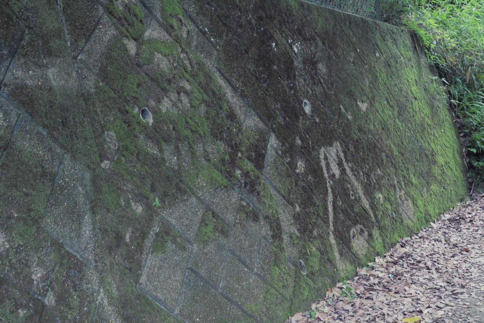 おっきいトトロが見えにくい