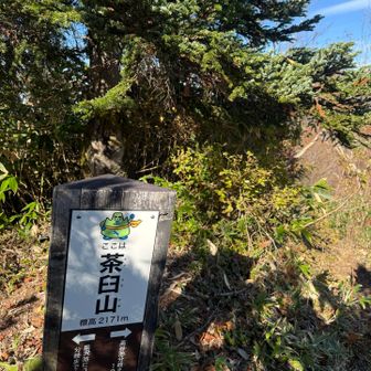 茶臼山に到着