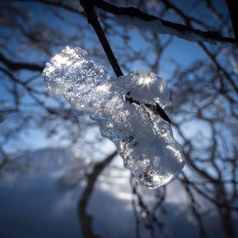 繊細な氷細工を見つけた！！😍