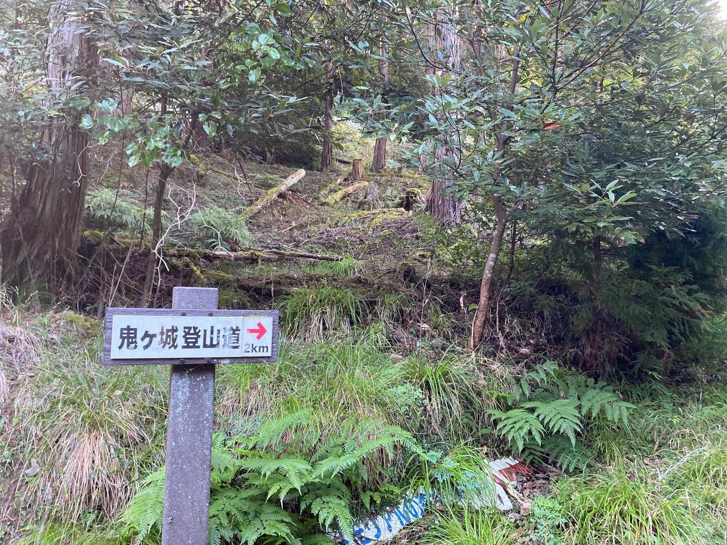 ここから登山道に入っていきます
なかなかの急登💦