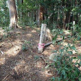 京塚山山頂。
展望は無く、わりと地味な山頂です。
即下山。