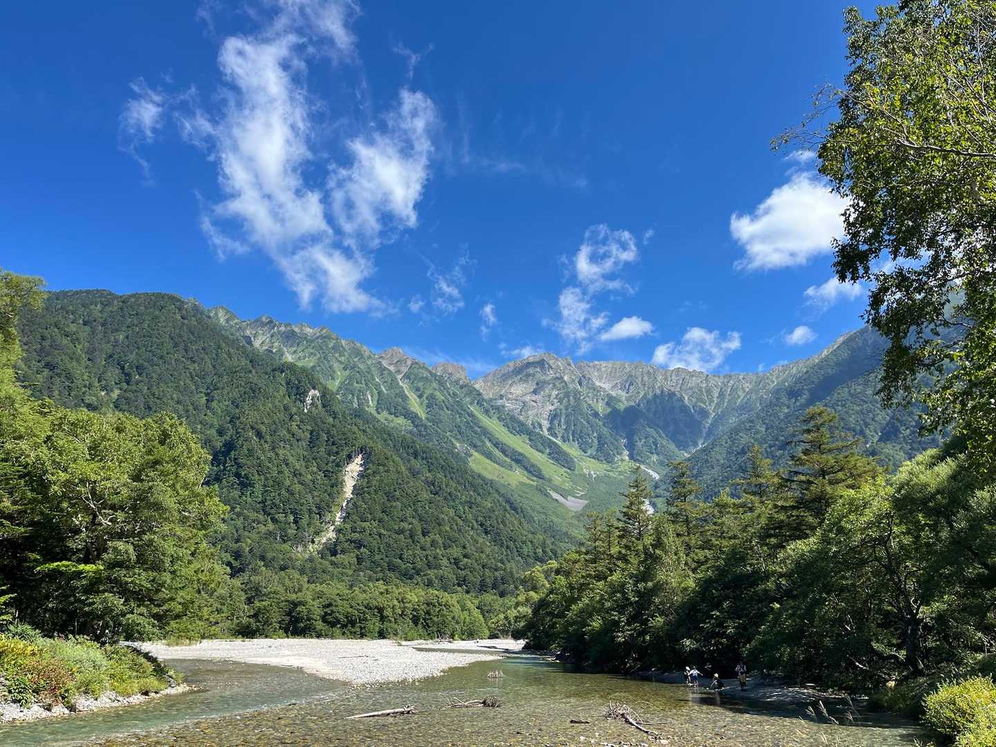 戻ってきました