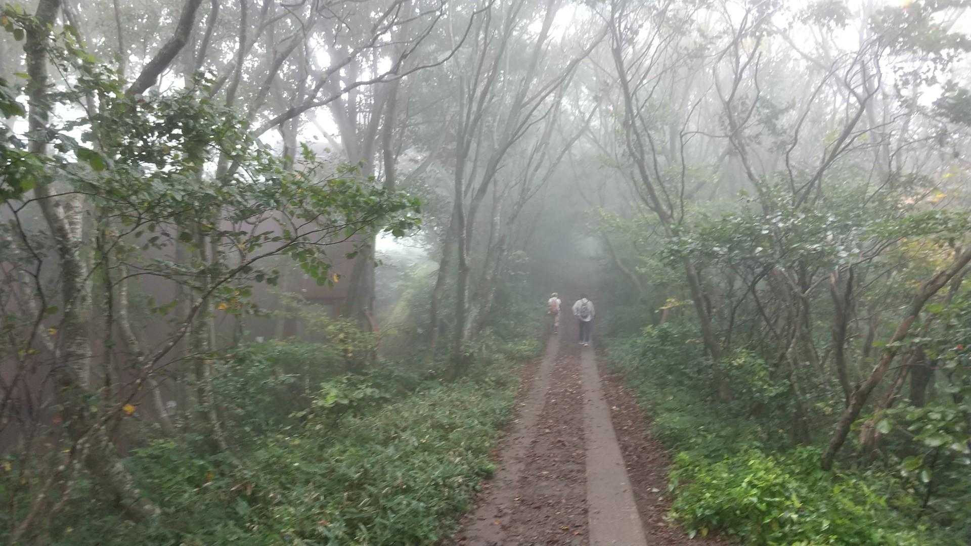 ９合目を過ぎたら
風が強く吹いていた。