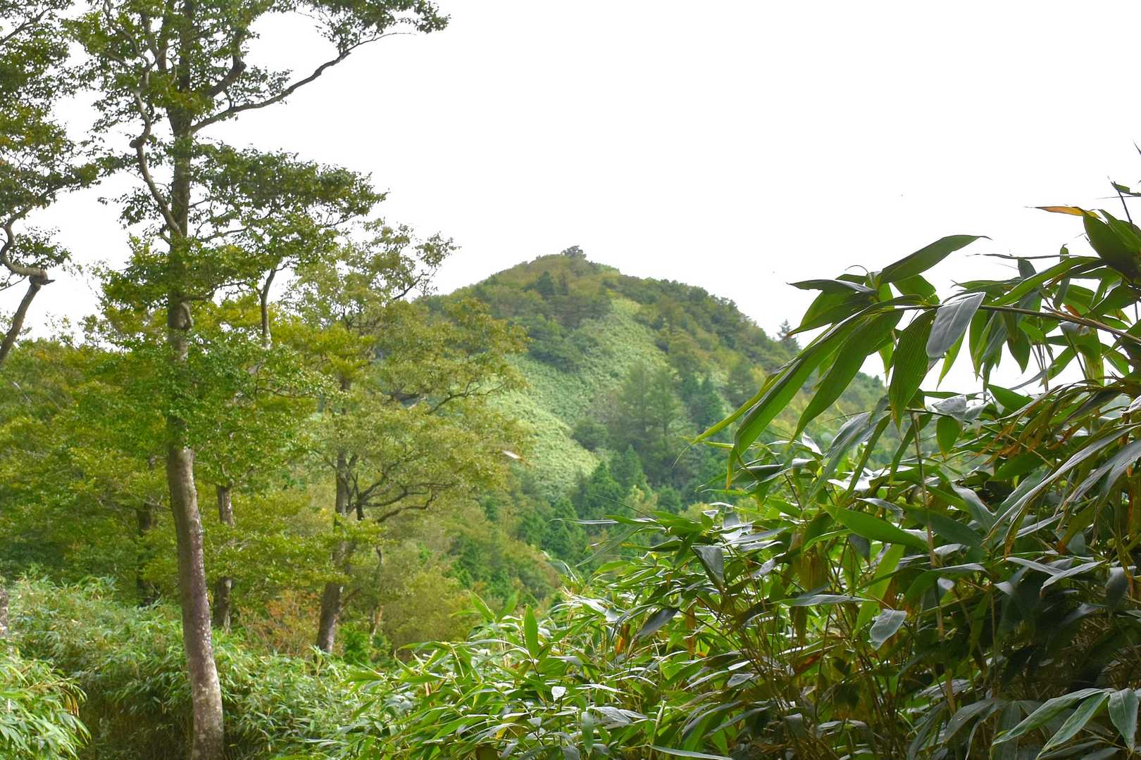 富栄山